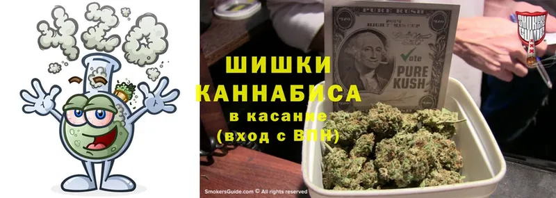 где купить наркоту  Ессентуки  маркетплейс телеграм  Бошки марихуана Amnesia 